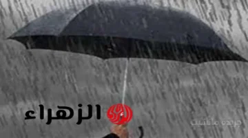 تقلبات جوية حادة.. حالة الطقس اليوم تجمع بين الحرارة والأمطار والشبورة المائية 1